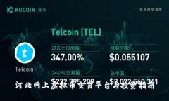河北网上虚拟币交易平台与投资指南