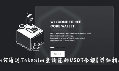 如何通过Tokenim查询您的USDT余额?详细指南
