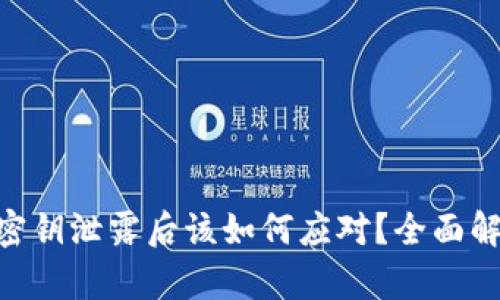 Tokenim钱包密钥泄露后该如何应对?全面解析与解决方案