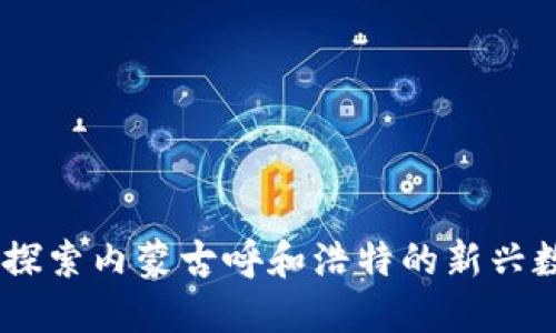 呼市虚拟币:探索内蒙古呼和浩特的新兴数字经济机遇