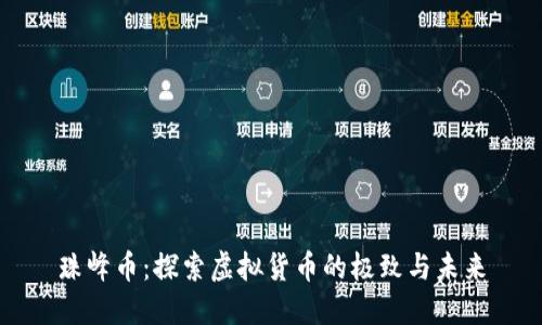 珠峰币:探索虚拟货币的极致与未来