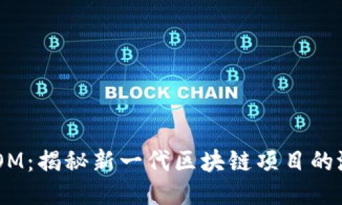 TokenimLOM:揭秘新一代区块链项目的潜力与机遇