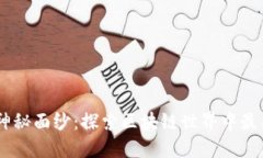 bianoti揭开Tokenim的神秘面纱：探索区块