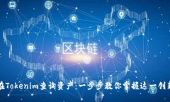 如何在Tokenim查询资产：一步步教你掌