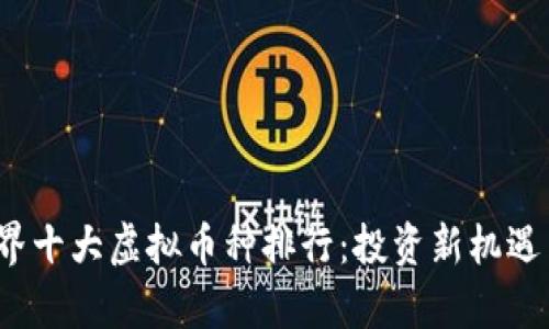 2023年世界十大虚拟币种排行：投资新机遇与风险解析