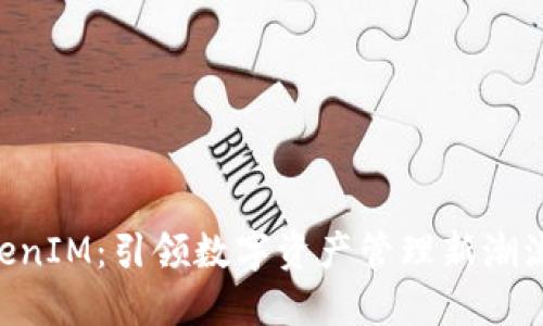 大丰收 TokenIM:引领数字资产管理新潮流的创新平台