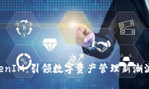 大丰收 TokenIM:引领数字资产管理新潮流的创新平台