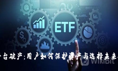 虚拟币平台破产:用户如何保护资产与选择未来投资方向