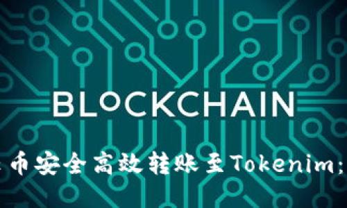 如何将云币安全高效转账至Tokenim：详细指南