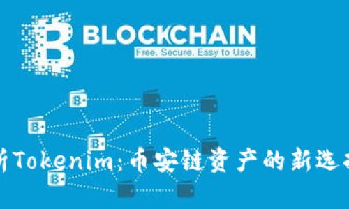深入解析Tokenim:币安链资产的新选择与优势