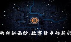 揭开虚拟小额币的神秘面纱：数字货币