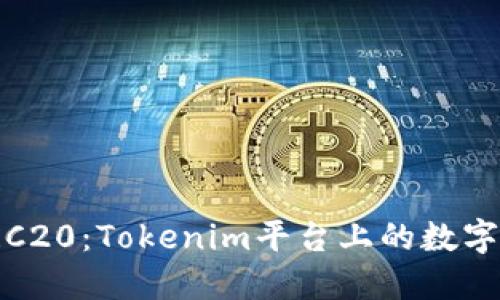 深入了解TRC20:Tokenim平台上的数字资产新机遇