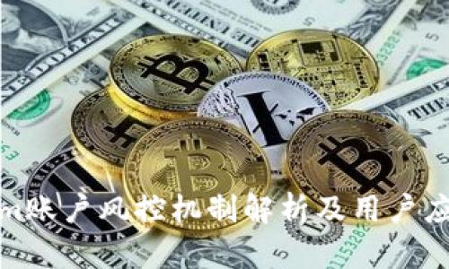 Tokenim账户风控机制解析及用户应对策略