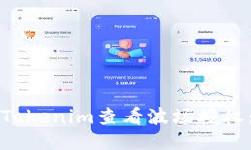 如何通过Tokenim查看波场授权：详细指南