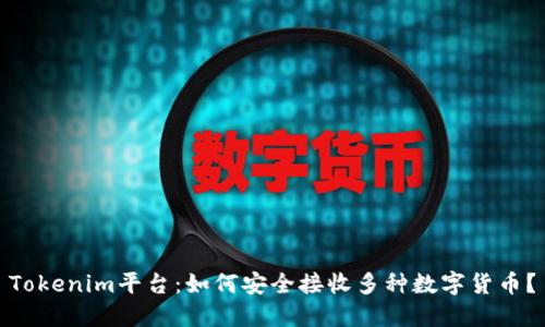 Tokenim平台：如何安全接收多种数字货币？