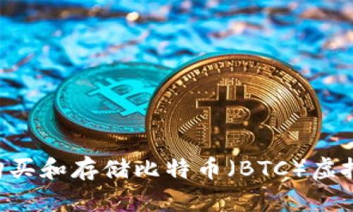 如何安全地购买和存储比特币（BTC）虚拟币：新手指南