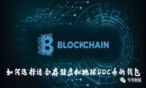 如何选择适合存储虚拟地球DDC币的钱包