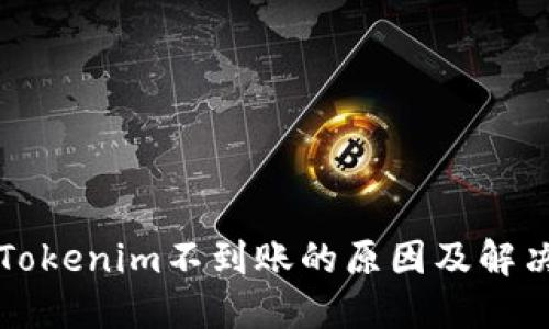 转入Tokenim不到账的原因及解决方案