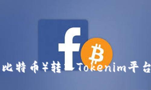 如何将BTC（比特币）转入Tokenim平台的详细指南