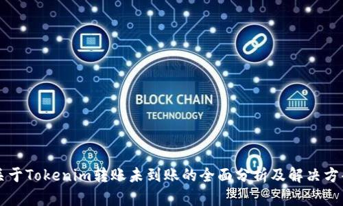 关于Tokenim转账未到账的全面分析及解决方案