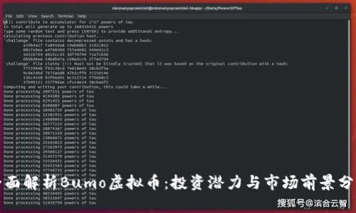 全面解析Bumo虚拟币：投资潜力与市场前景分析