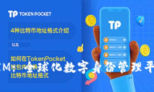 深入解析TokenIM: 全球化数字身份管理平台的应用与发展