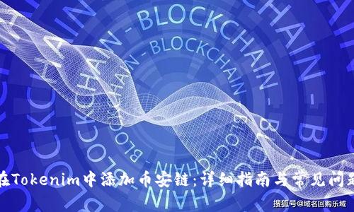 如何在Tokenim中添加币安链：详细指南与常见问题解答
