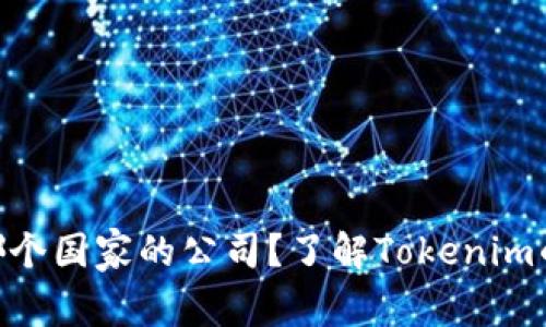 Tokenim是哪个国家的公司？了解Tokenim的背景和发展